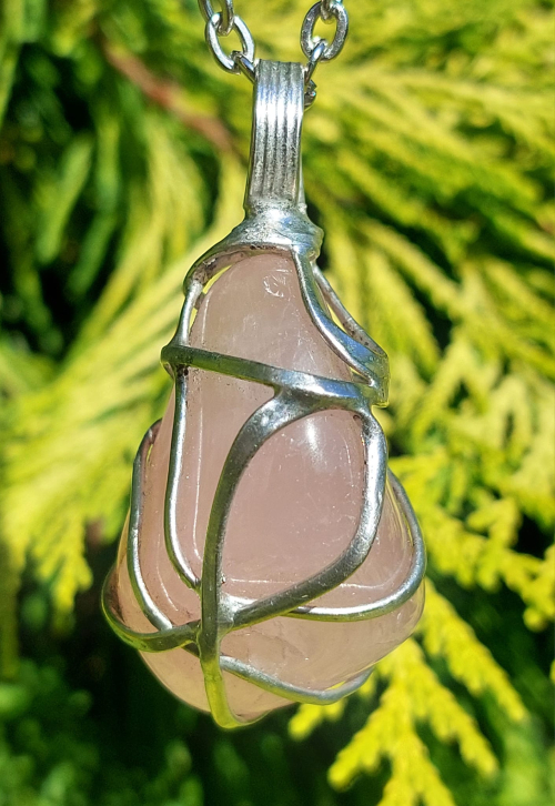 366747910_307214761841334_7393583557556363102_n